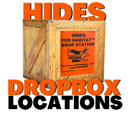 Hides Dopbox