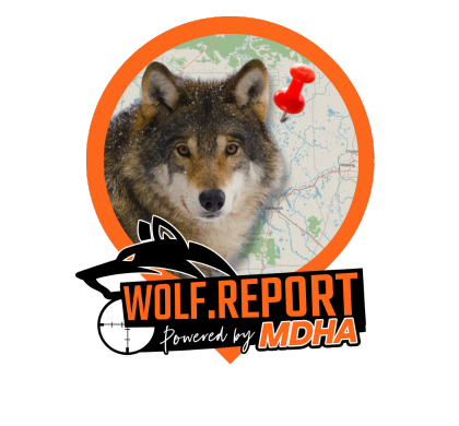 Wolf.Report