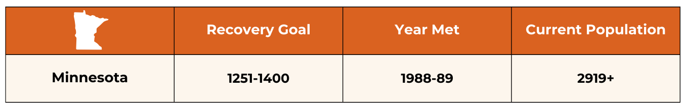 Minnesota Wolf recovery numbers