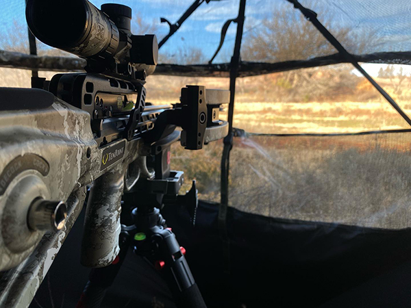 Minnesota Crossbow Hunting