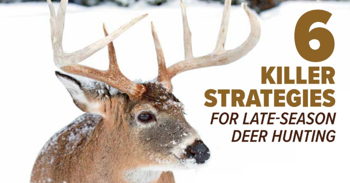 6 Killer Strategies For Late Season Deer Hunting