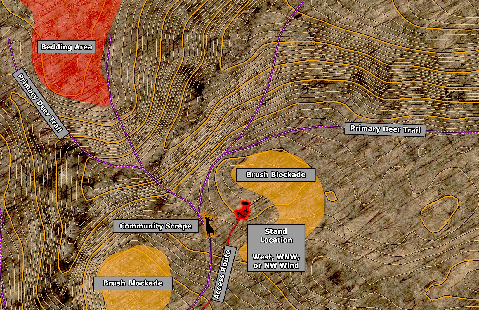 The Ridge Saddle