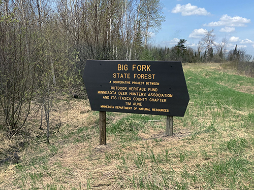 Big Fork State Forest Sign Horizontal copy 2