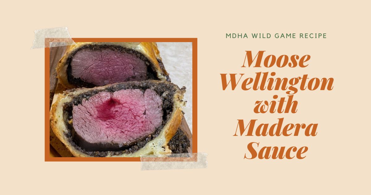 Moose Wellington with Madera Sauce