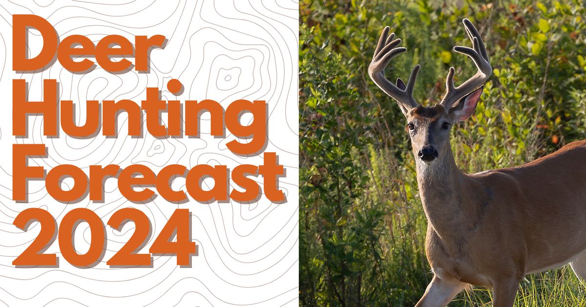 Deer Hunting Forecast 2024