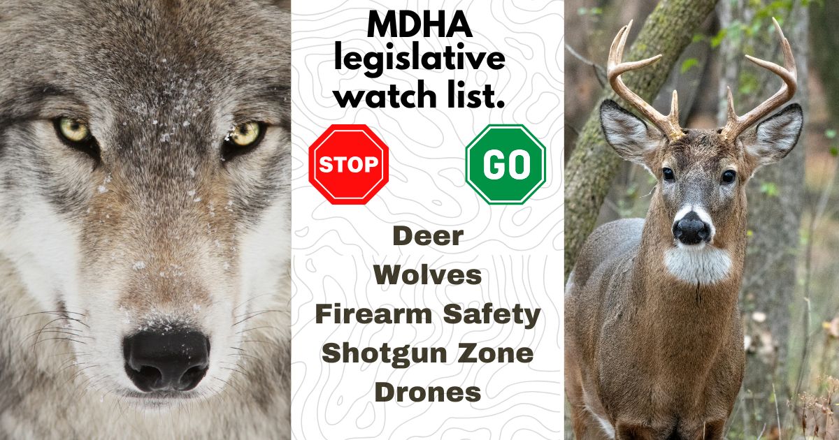 2025 Legislative Watch List for Minnesota Hunters  