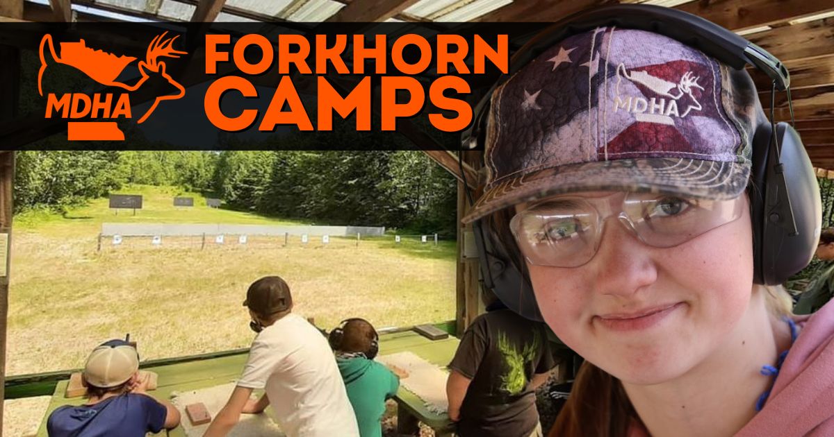 Forkhorn Camps
