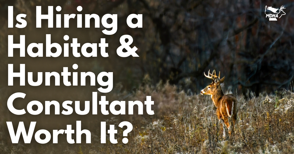 Is Hiring a Habitat & Hunting Consultant Worth It?