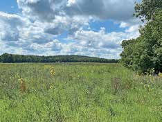 Minnesota Habitat