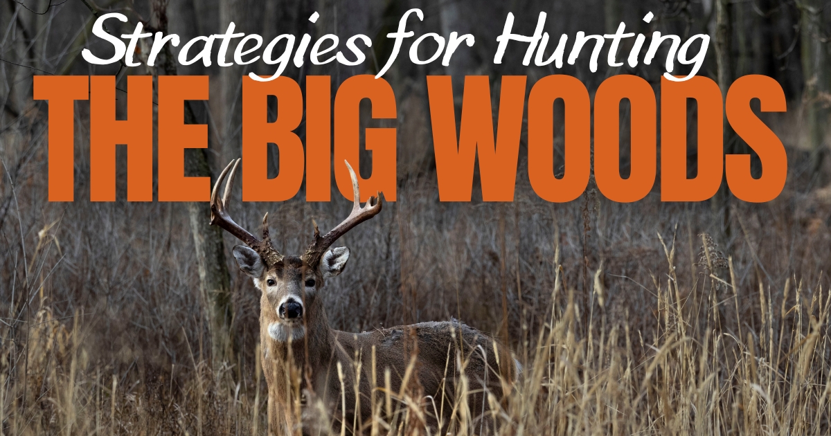 Strategies for Hunting the Big Woods