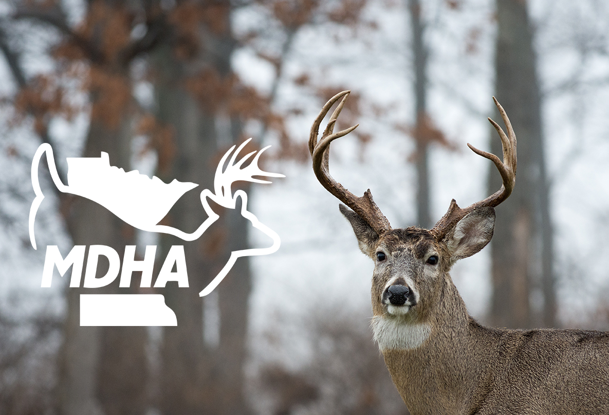 deersmdha