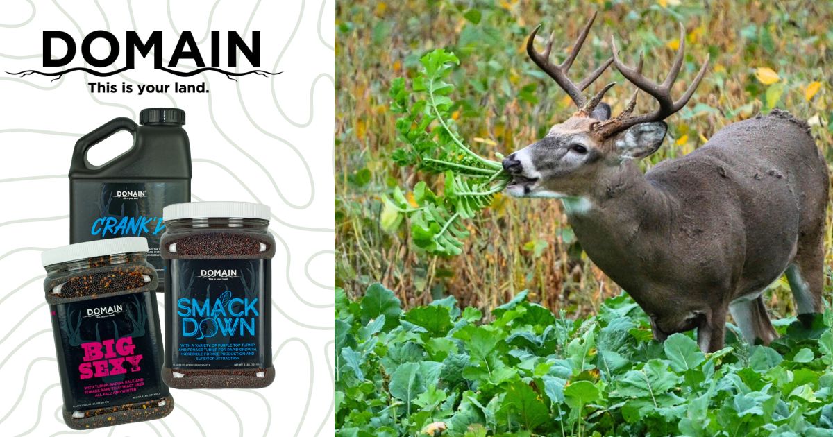 Why It’s Never Too Early to Plan Your Food Plots  