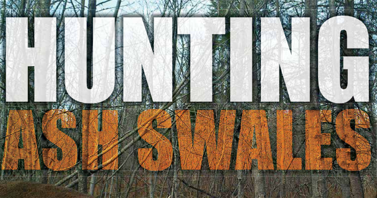 Hunting Ash Swales - Minnesota Deer Hunting