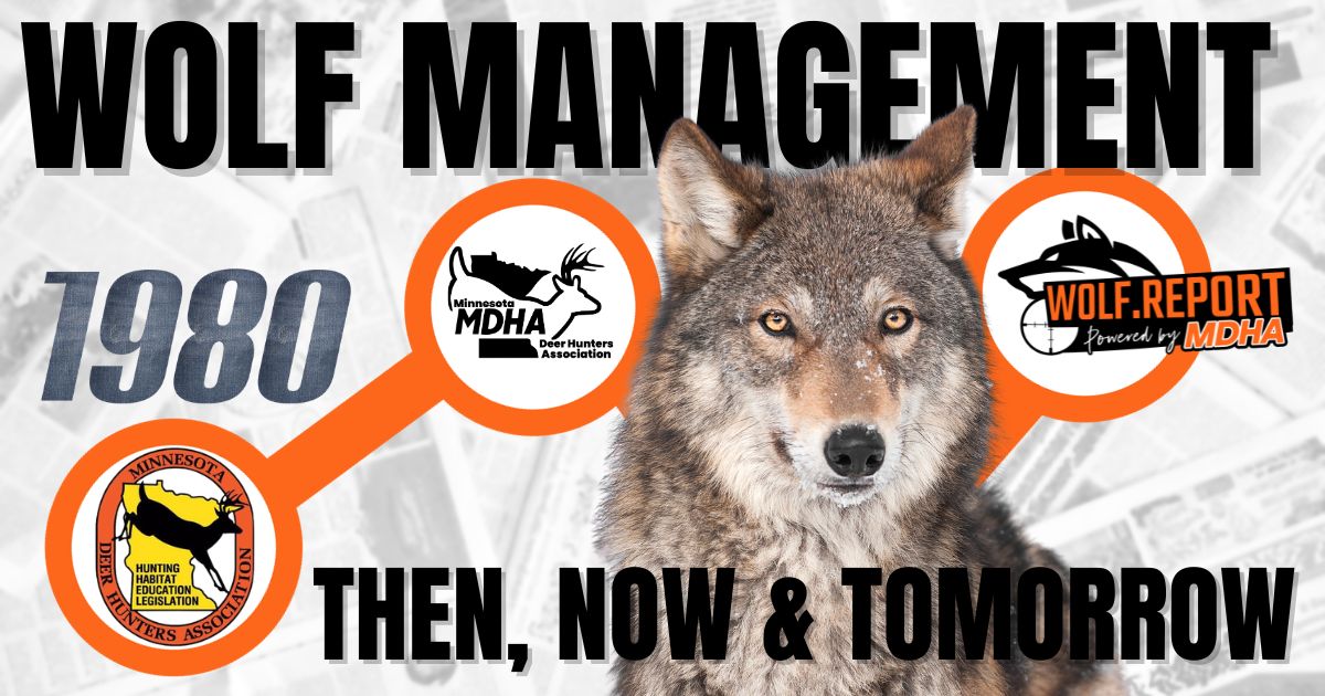 Minnesota Wolf Management